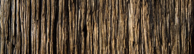 close-up of weathered wood texture