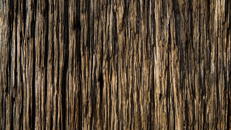 close-up of weathered wood texture