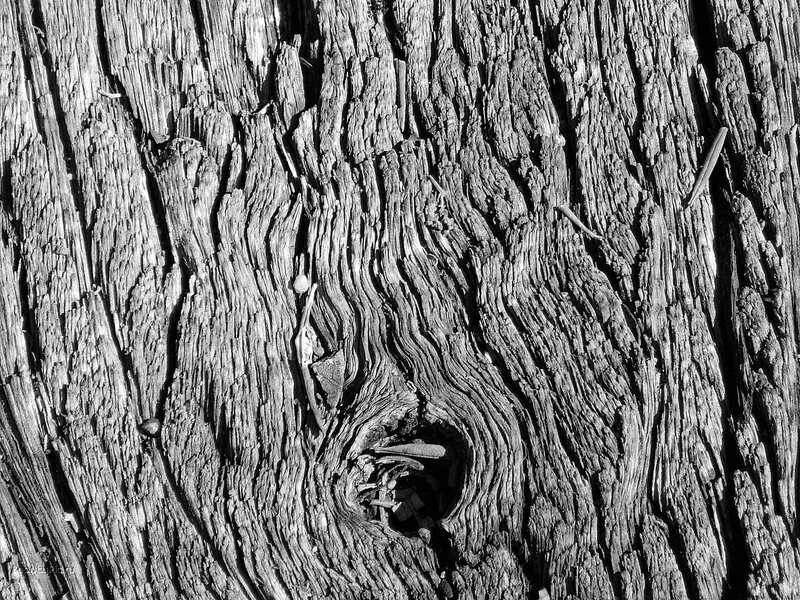 close-up of weathered wood texture