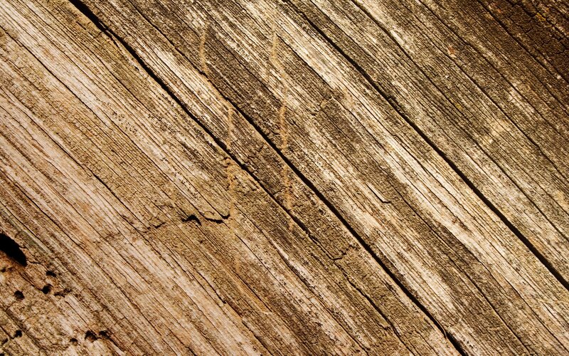 close-up of weathered wood texture