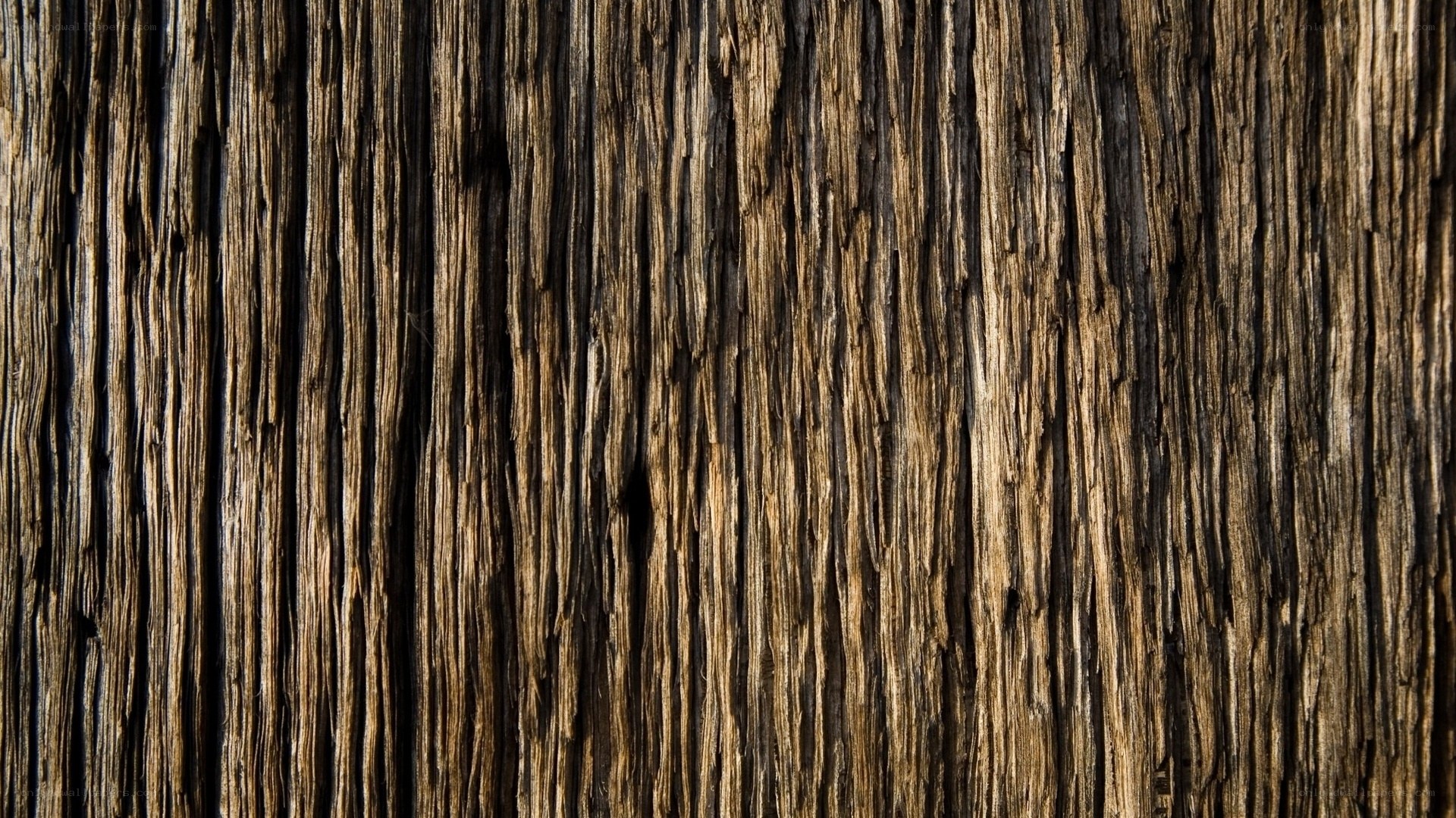 close-up of weathered wood texture