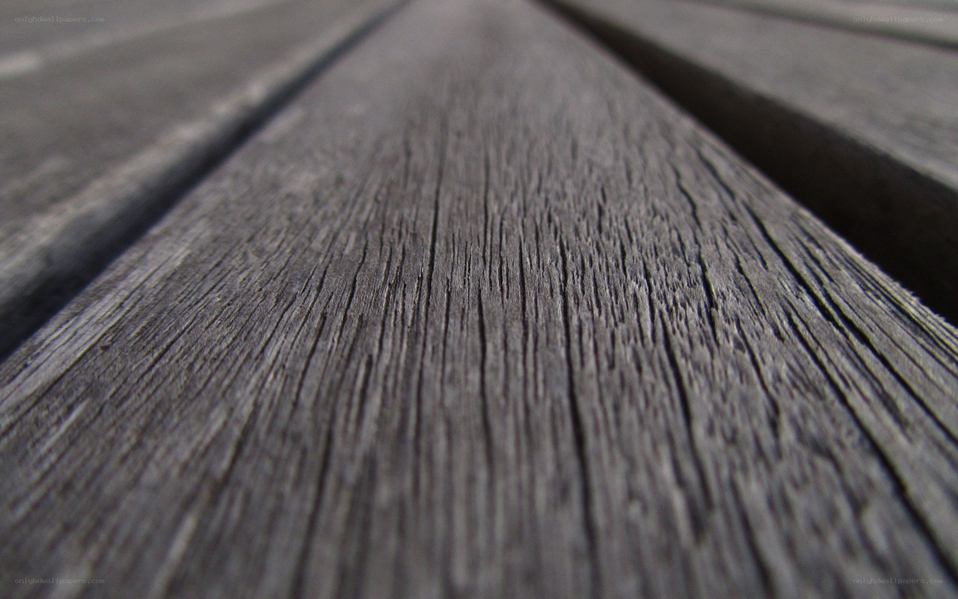 close-up of weathered wooden planks
