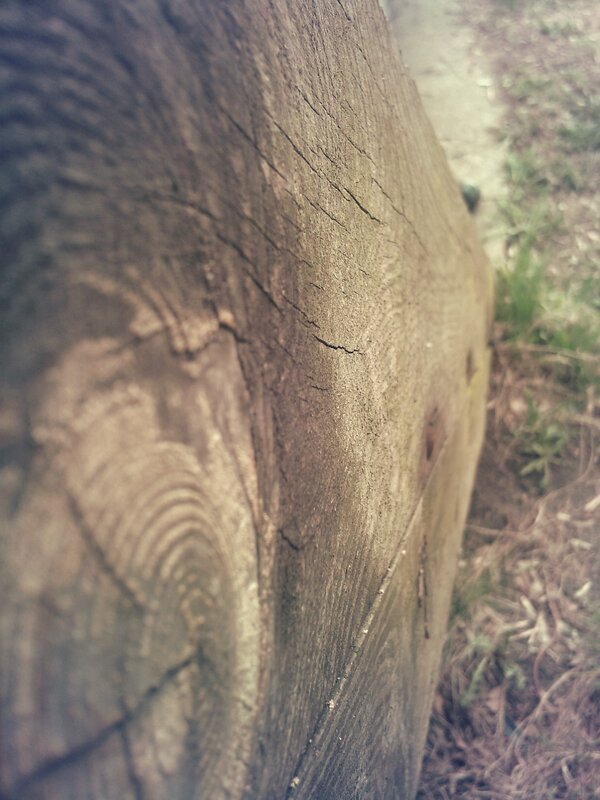 close-up of weathered wooden post