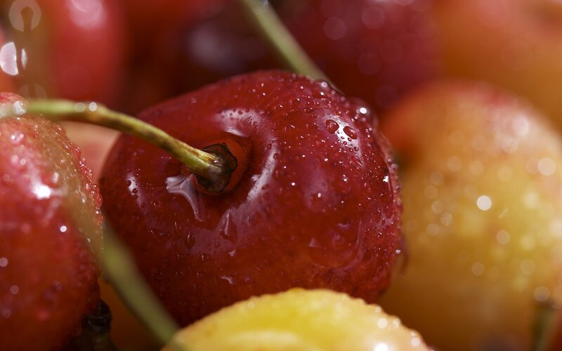 Close-up of wet cherries