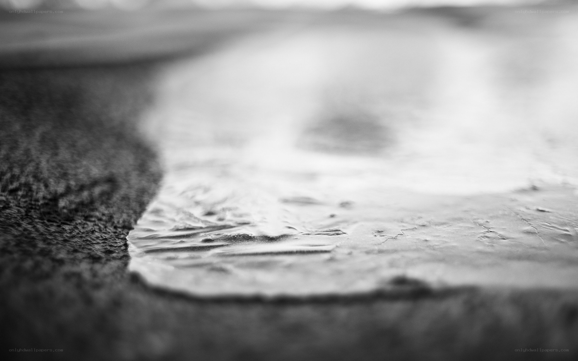 close-up of wet pavement