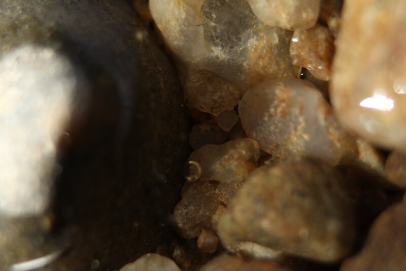 Close-up of wet pebbles