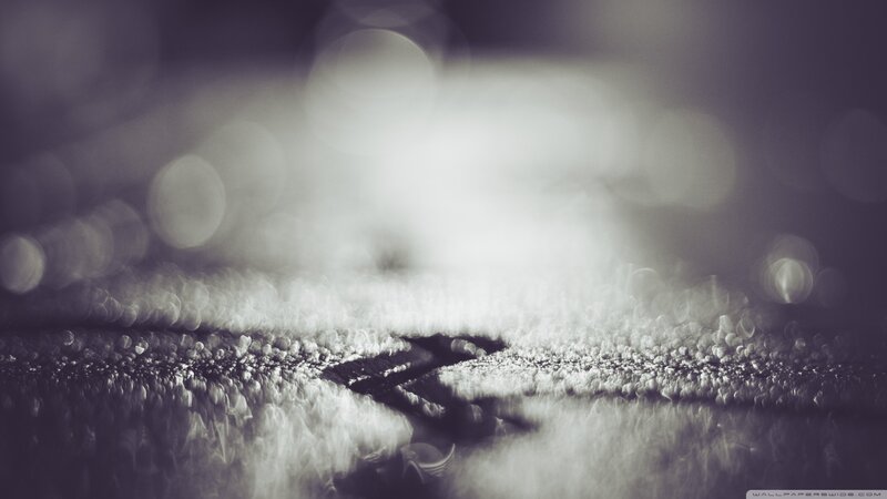 Close-up of Wet Surface
