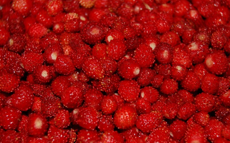 close-up of wild strawberries