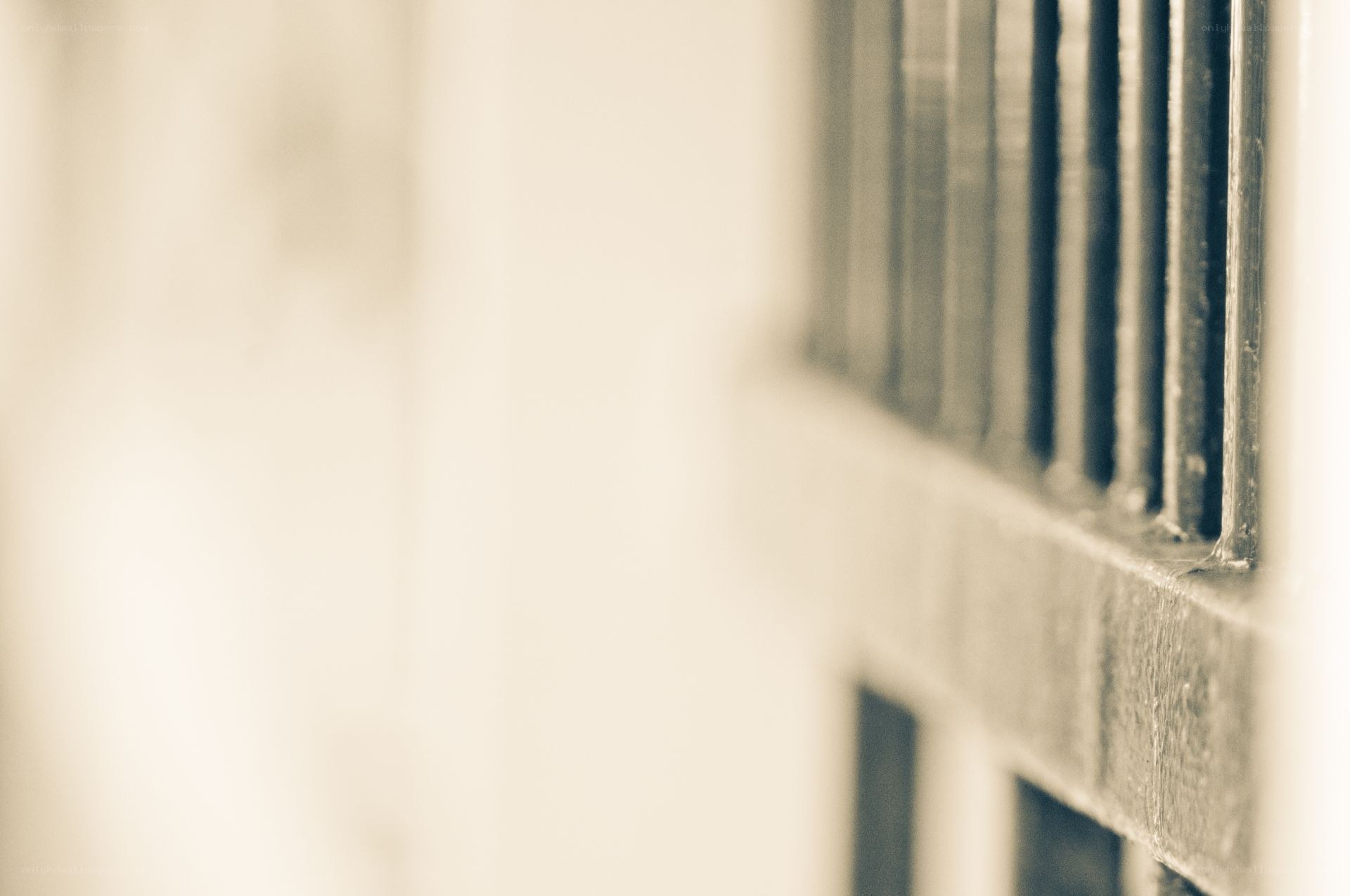 close-up of window bars