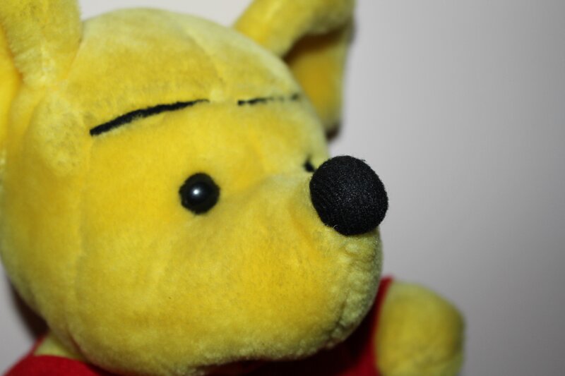 Close-up of Winnie the Pooh
