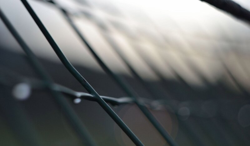 close-up of wire fence