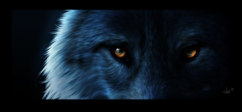 Close-up of Wolf Eyes — Blue