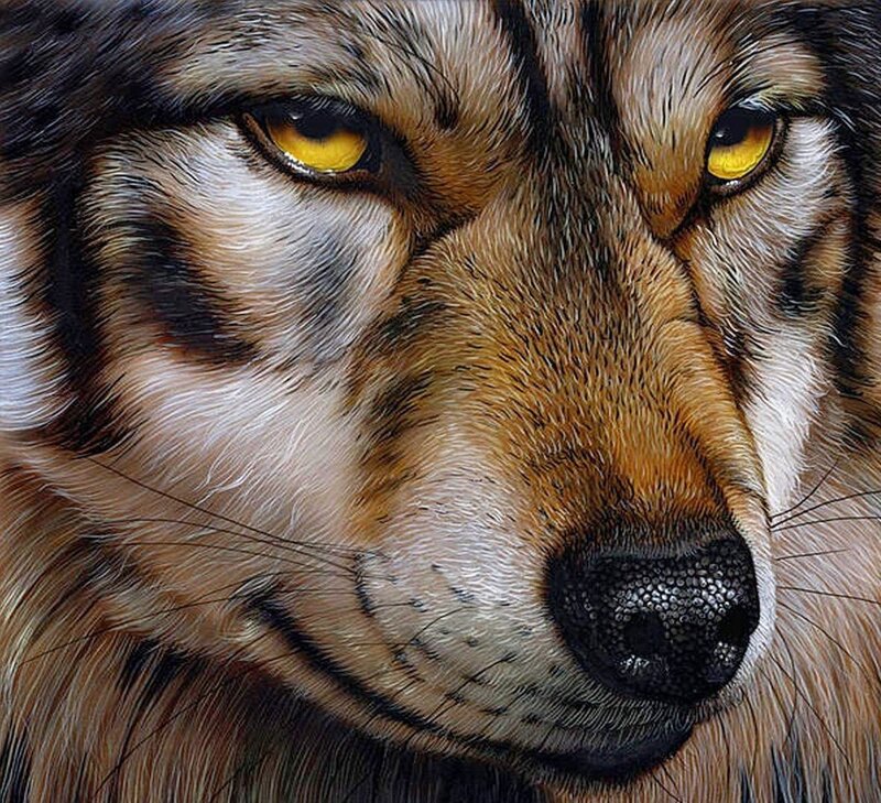 Close-up of Wolf Face — Brown, Intense, Painting