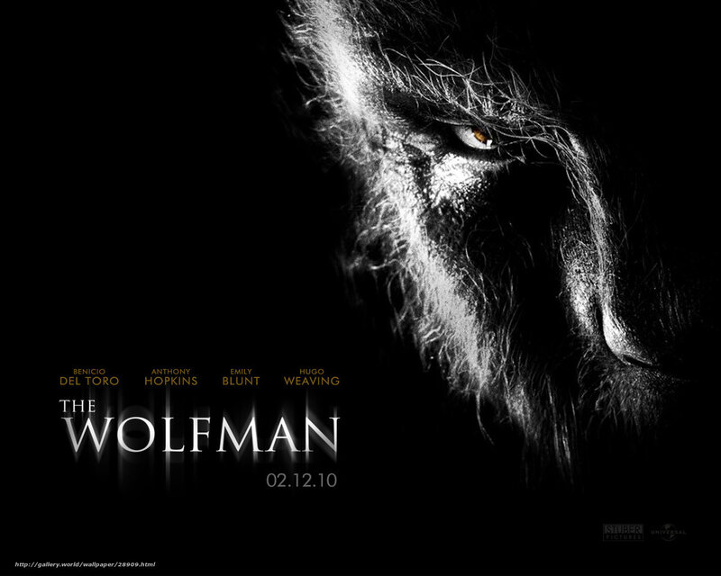 Close-up of Wolfman Face