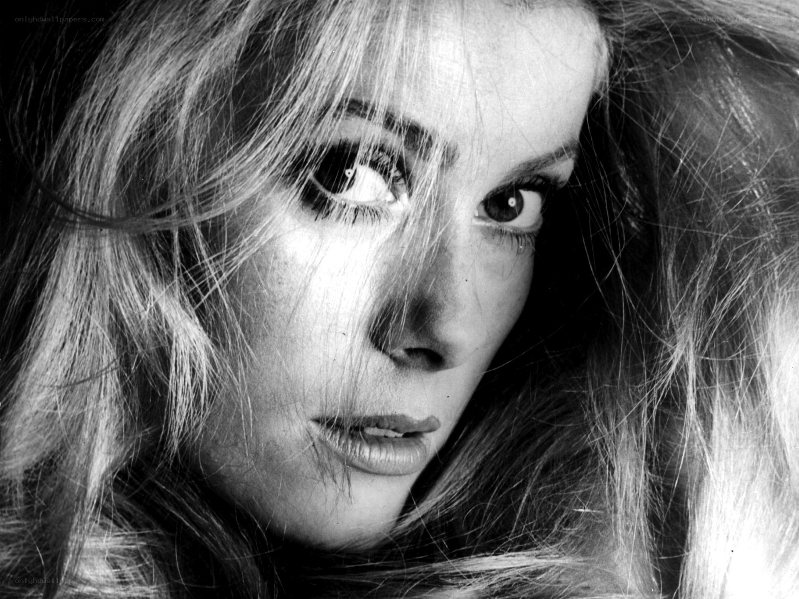 close-up of woman's face