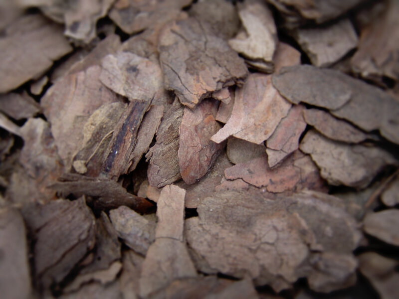 close-up of wood chips
