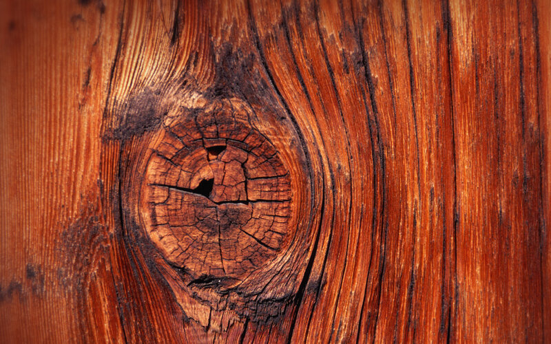 close-up of wood grain