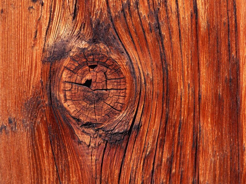 close-up of wood grain