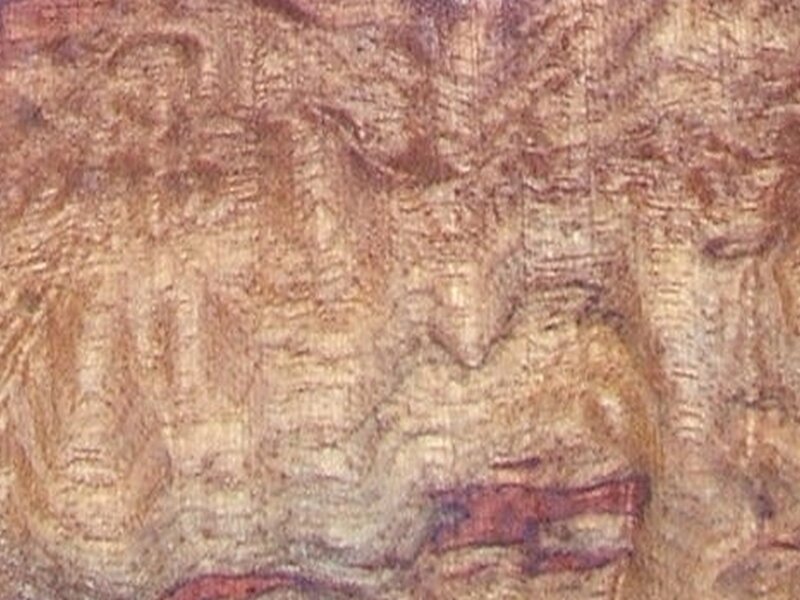 close-up of wood grain texture