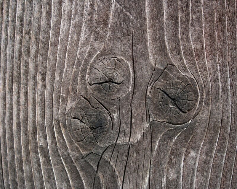 close-up of wood grain texture