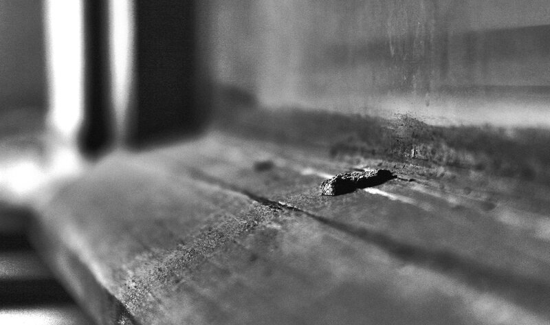 Close-up of Wood Surface