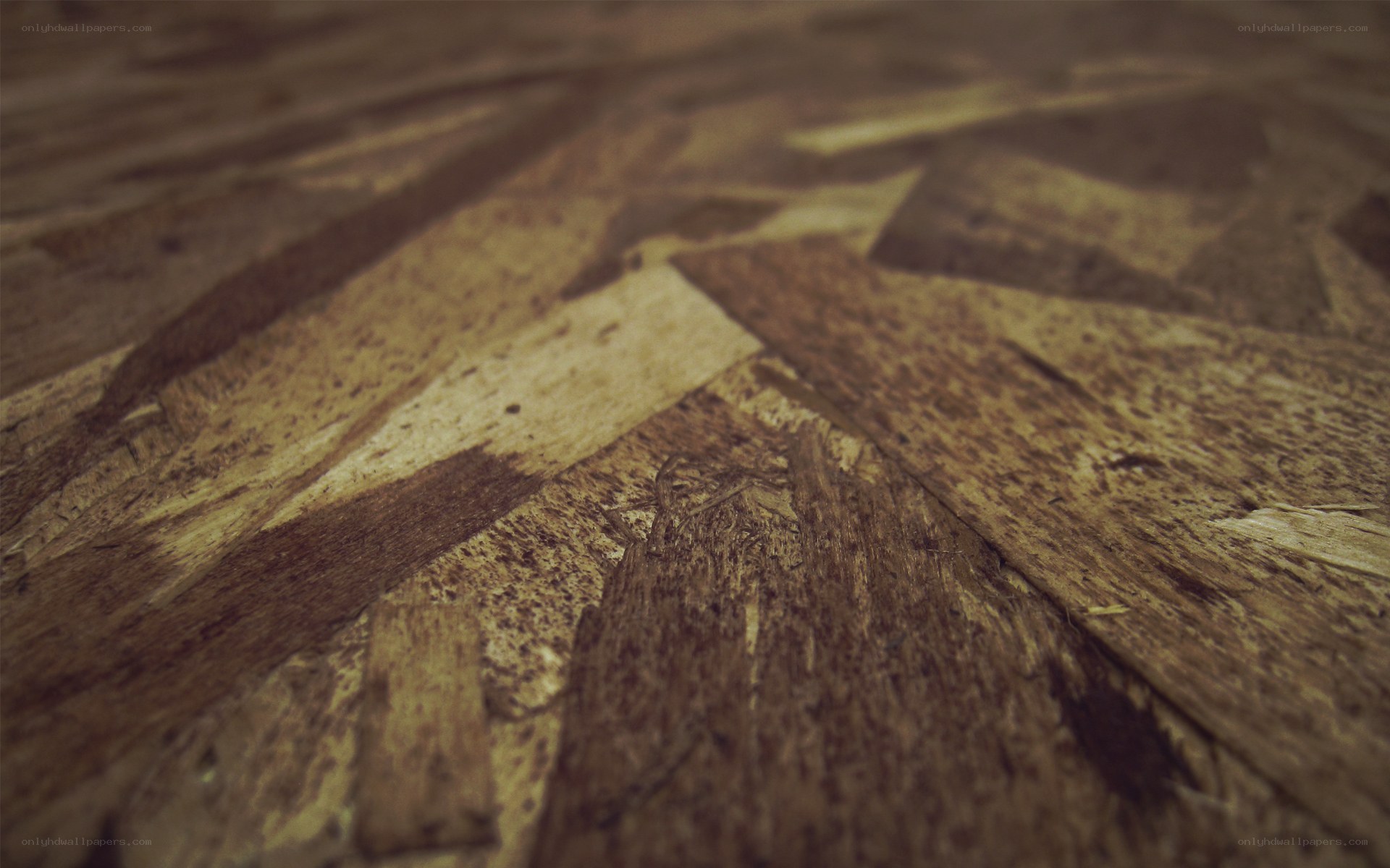 close-up of wood texture
