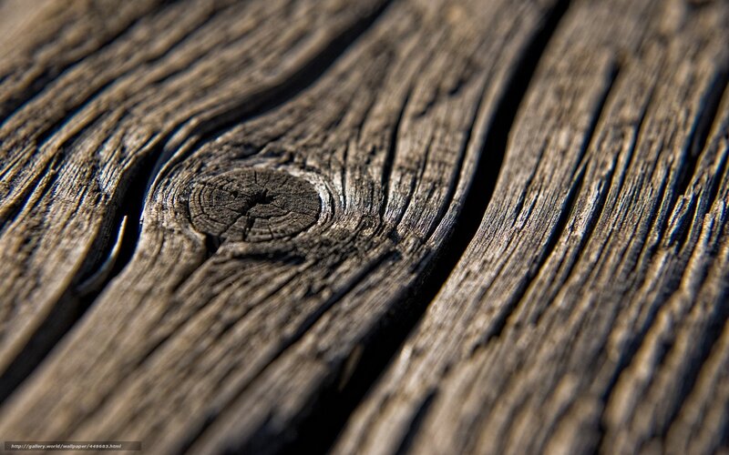Close-up of Wooden Surface — Brown, Textured