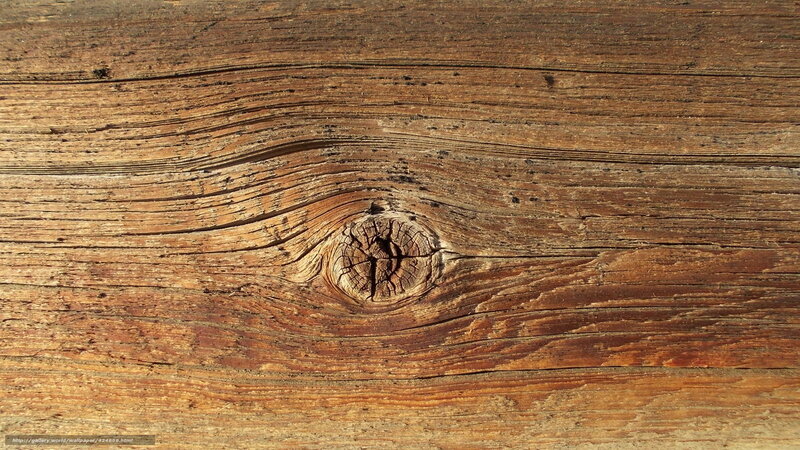 close-up of wooden texture