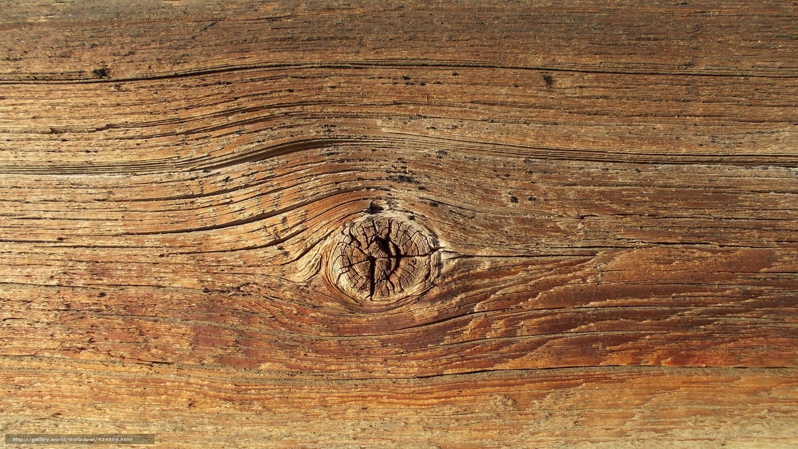 close-up of wooden texture