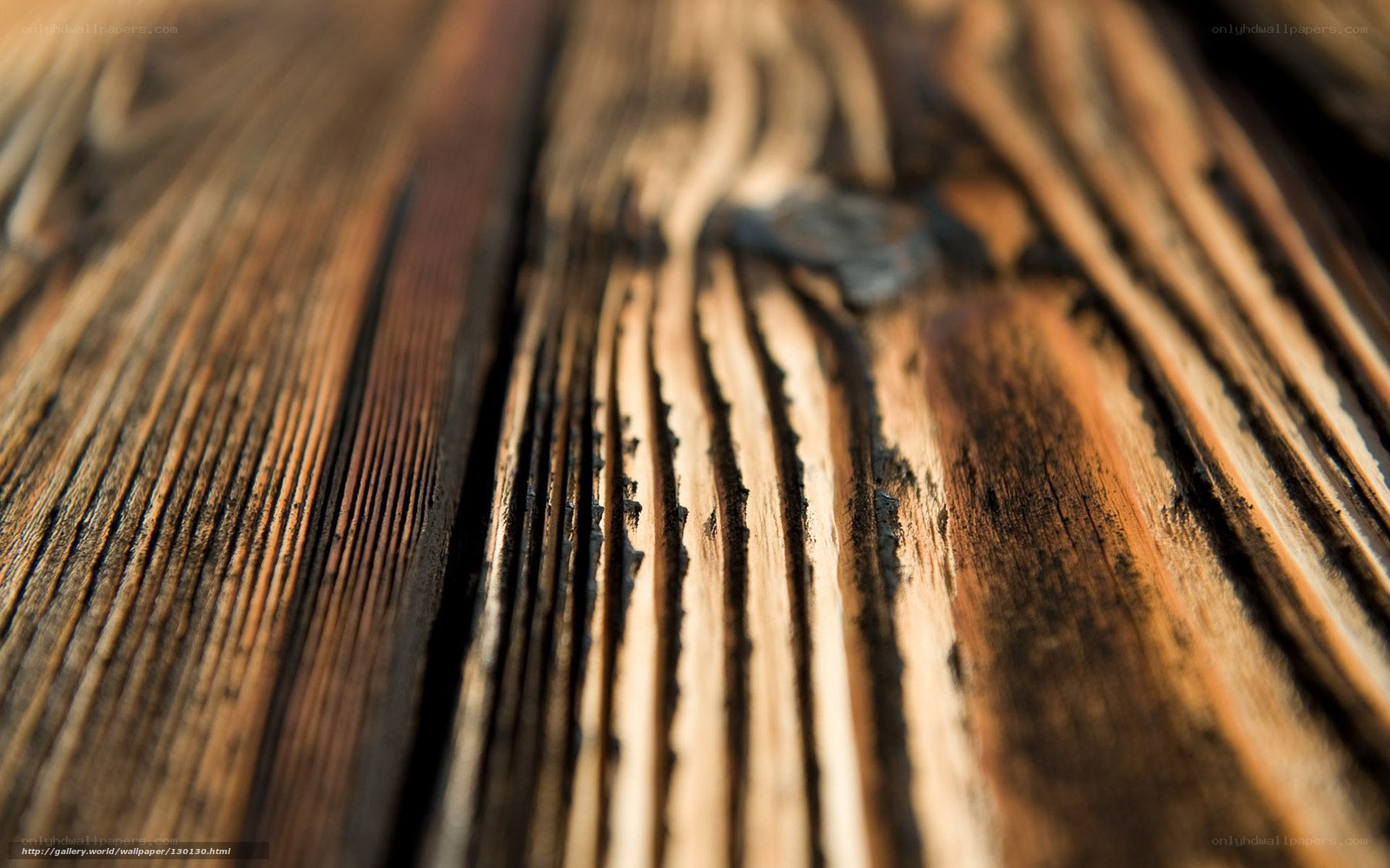 close-up of wooden texture