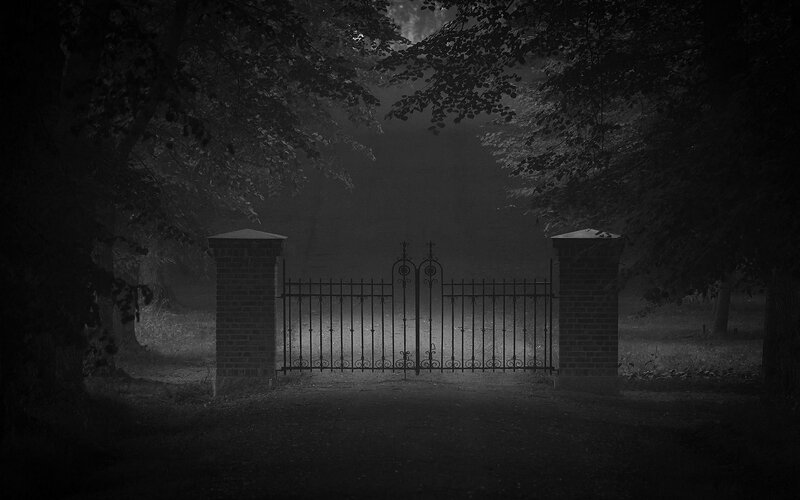 Closed Gate in Forest