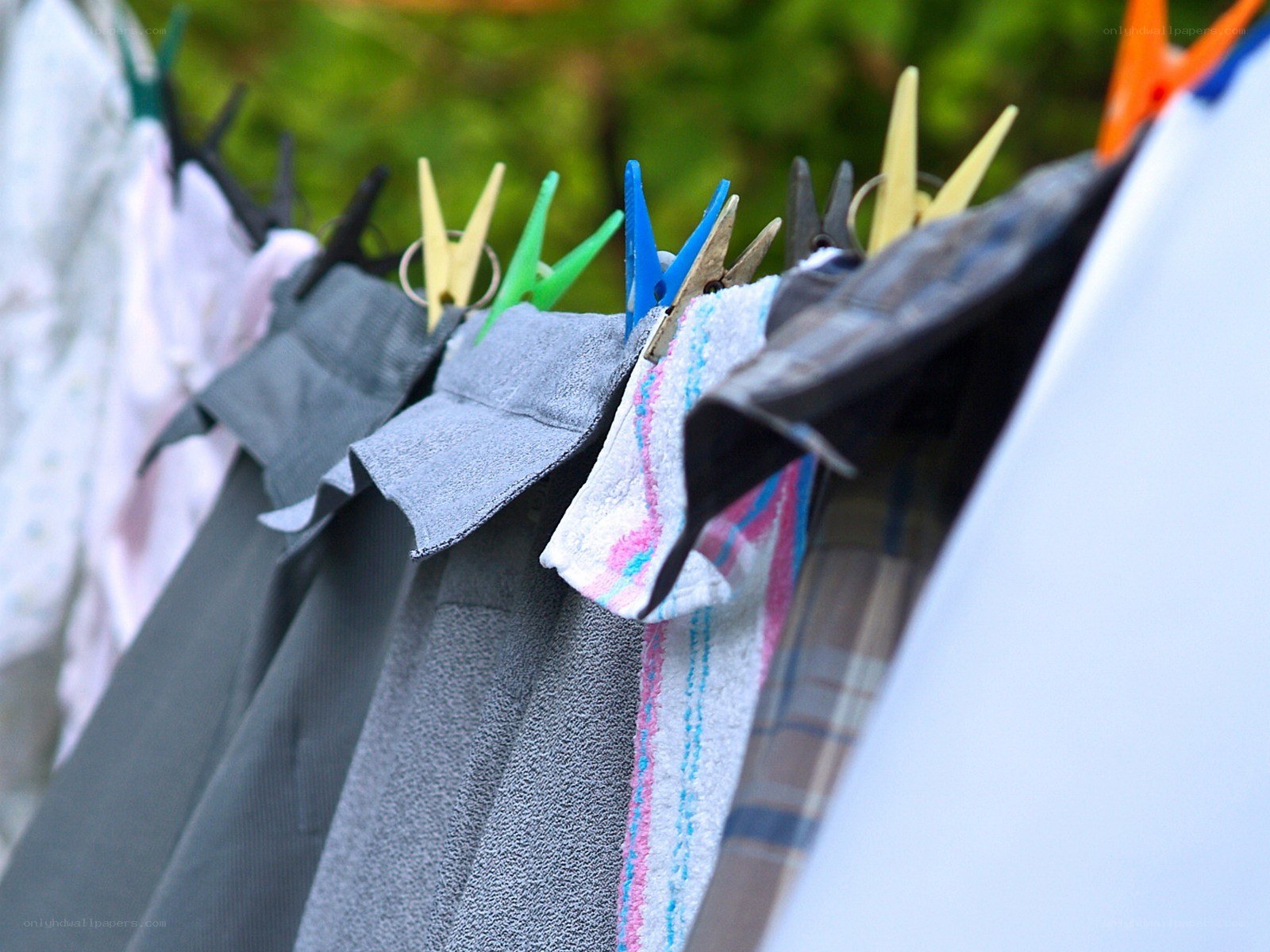 Clothes drying on a line