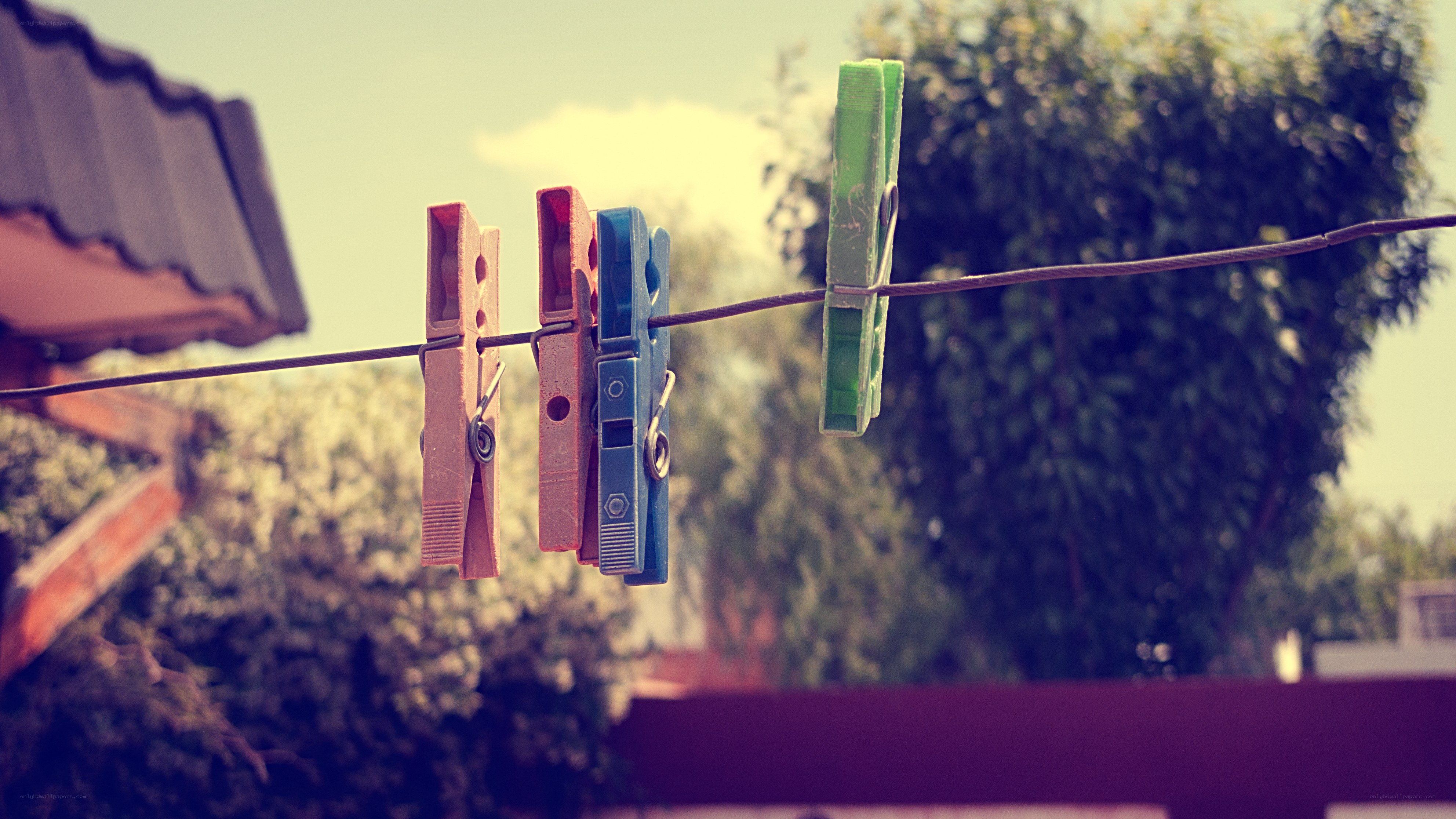 Clothespins on a clothesline