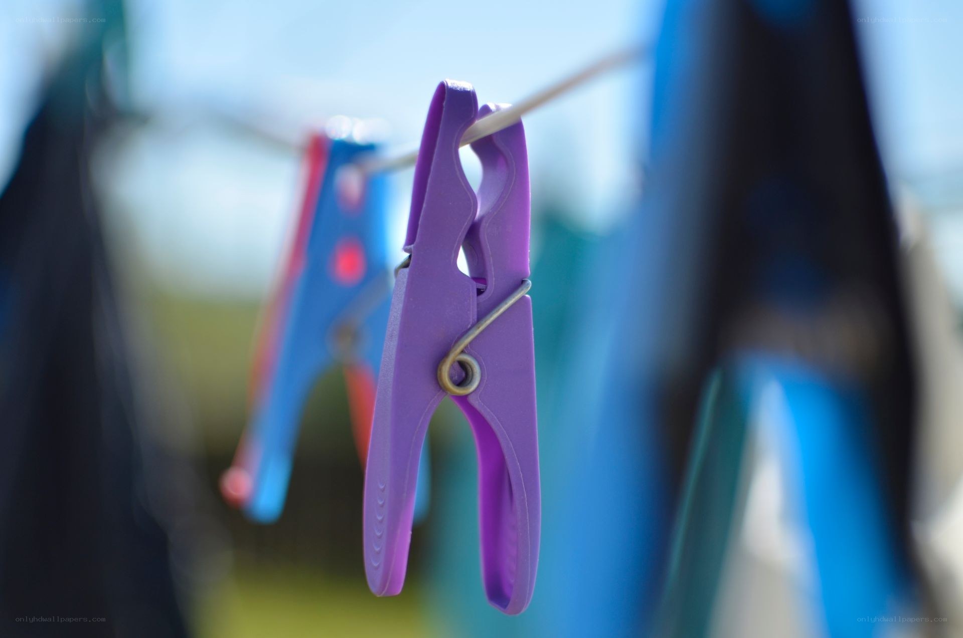 Clothespins on a clothesline