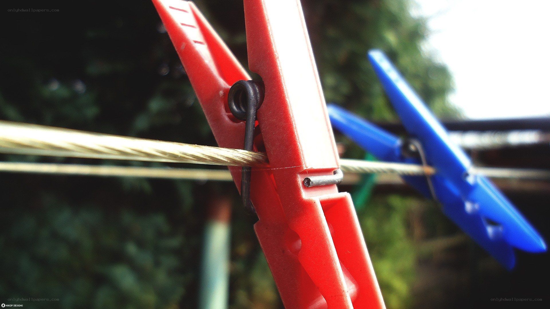 Clothespins on a clothesline