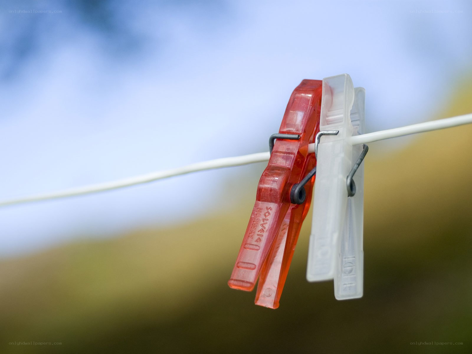 Clothespins on a clothesline