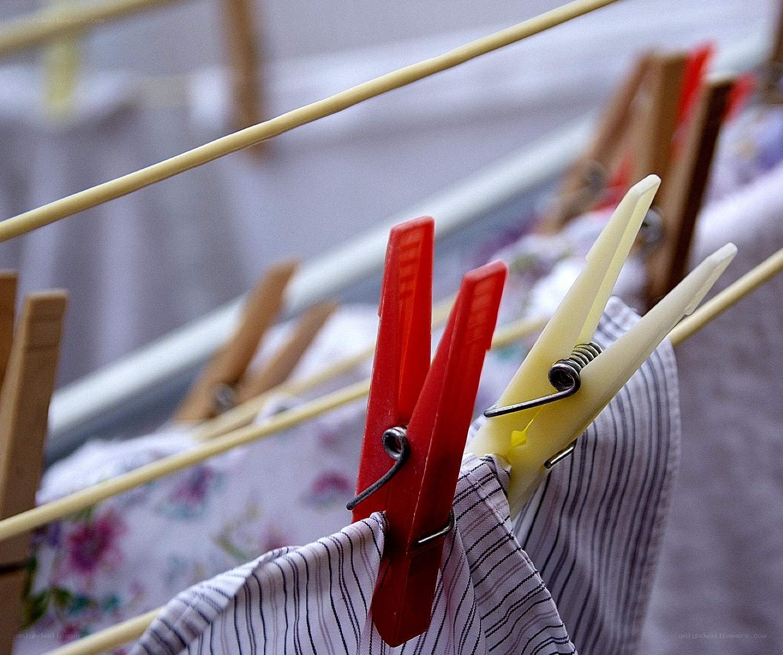 Clothespins on a clothesline
