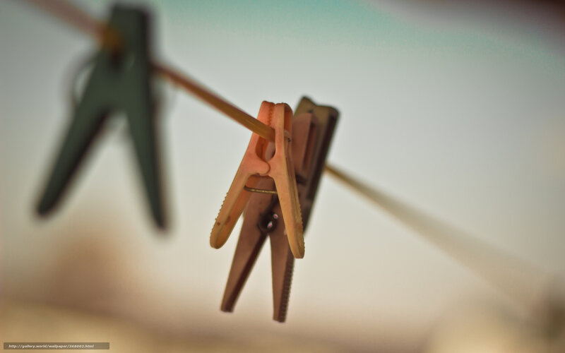 Clothespins on a Line — Brown