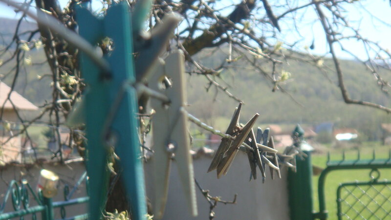 Clothespins on a Line — Green