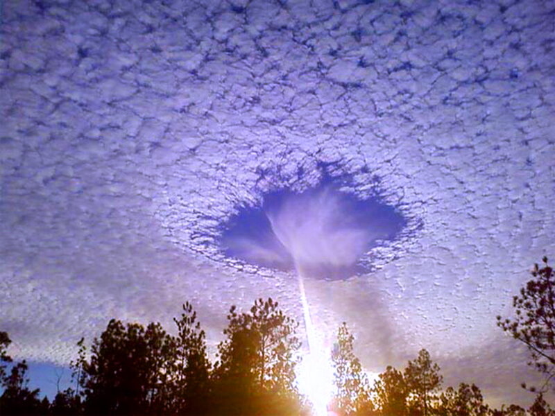 Cloud Formation over Trees — Purple