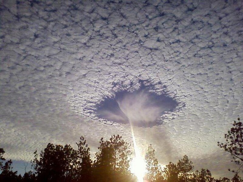 Cloud Formation over Trees