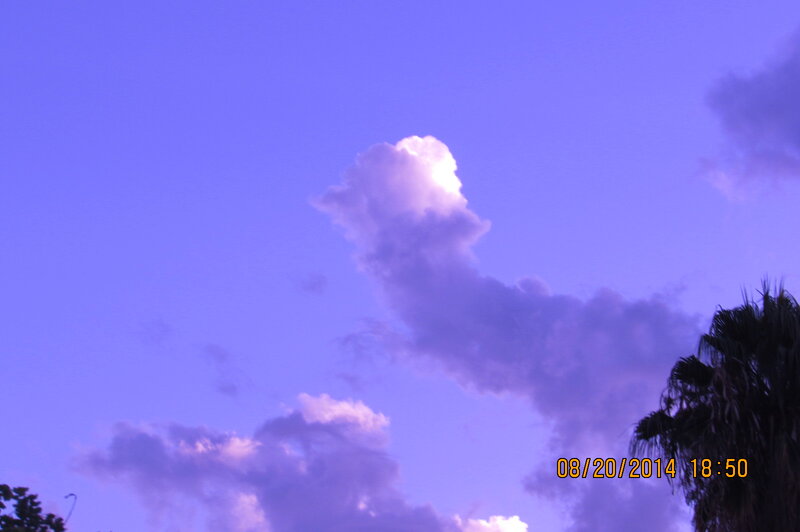 Cloud in Purple Sky