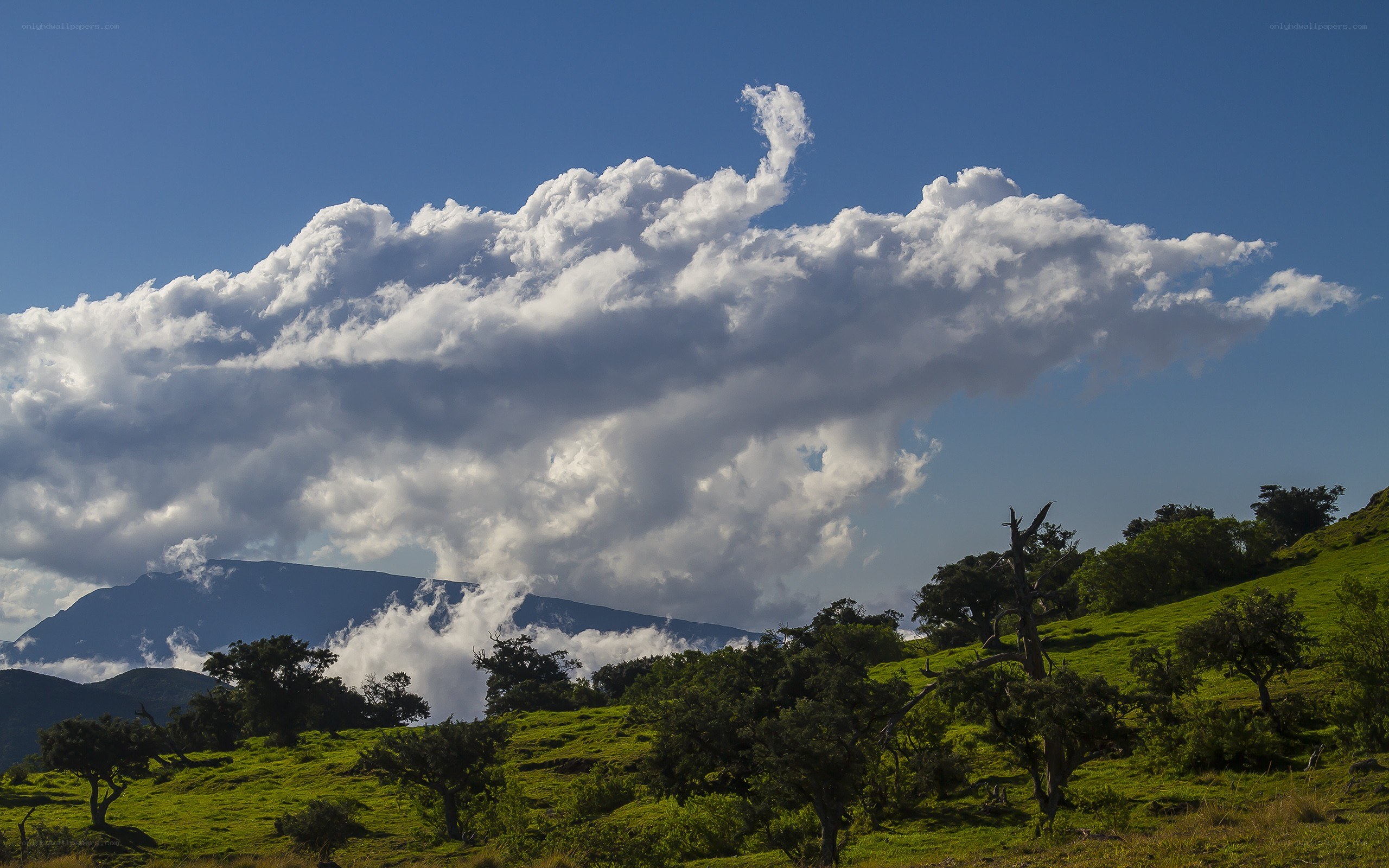 Cloud over green hills