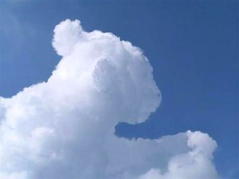 Cloud shaped like a bear