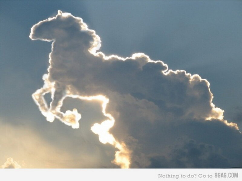 Cloud Shaped Like a Horse — White, Dramatic