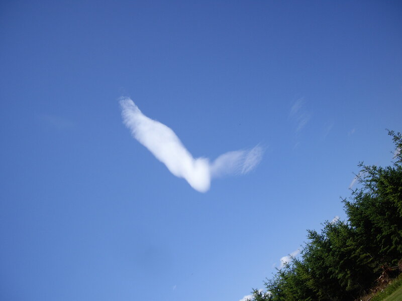 Cloud Shaped Like Bird