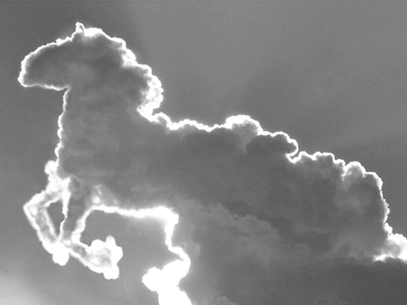 Cloud Shaped Like Horse — Gray