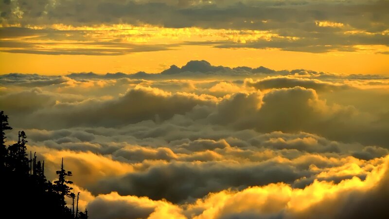 Clouds Above Forest