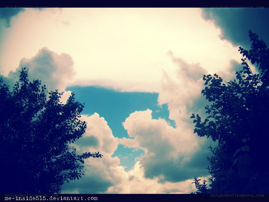 clouds above tree tops