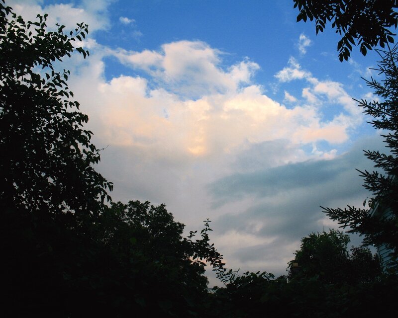 Clouds Above Trees — Blue, Serene